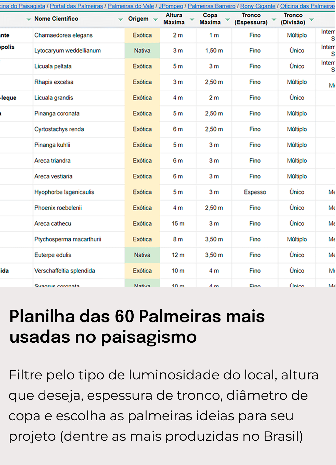 Prancheta 1 copiar 8