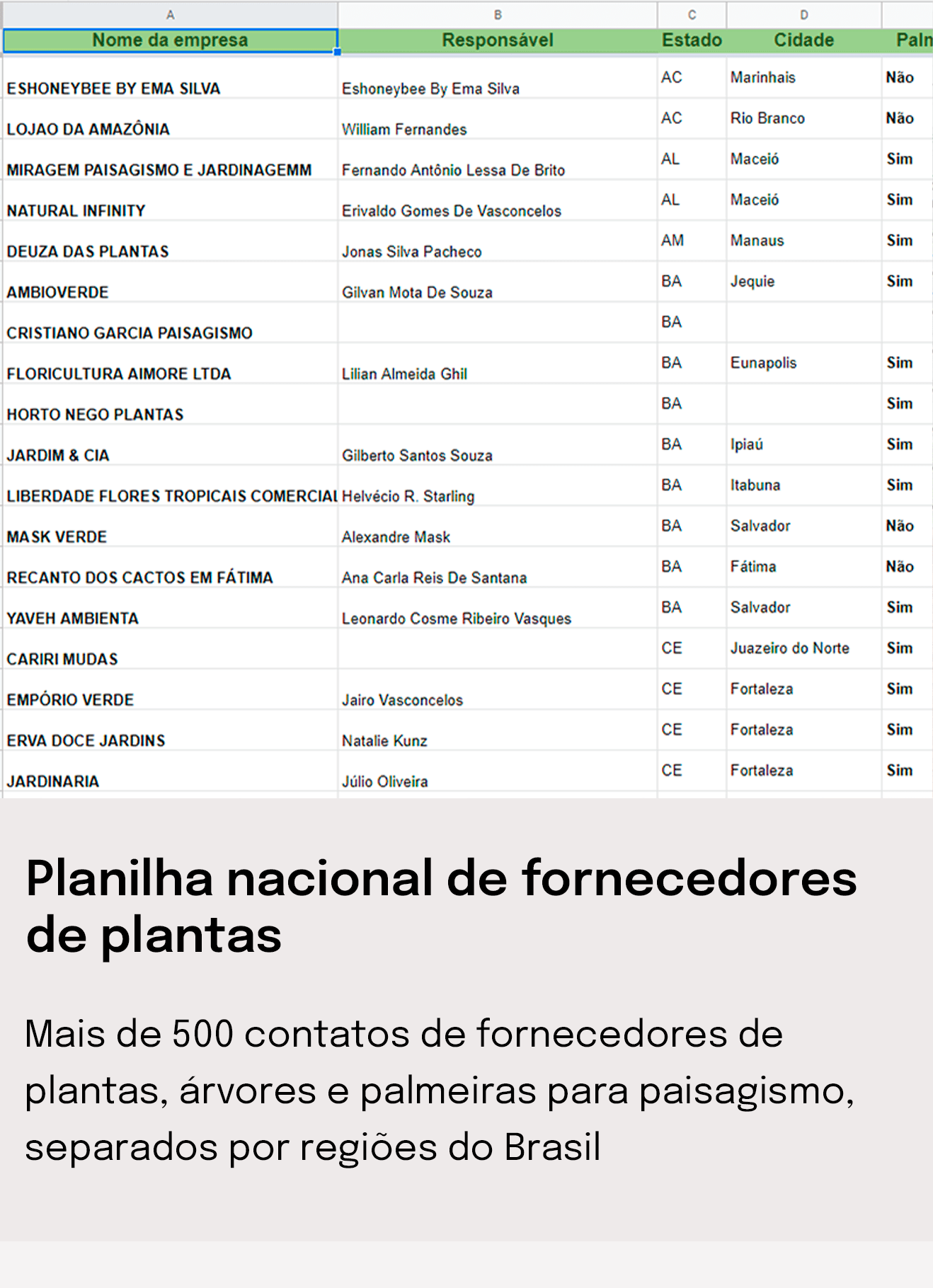 Prancheta 1 copiar 11