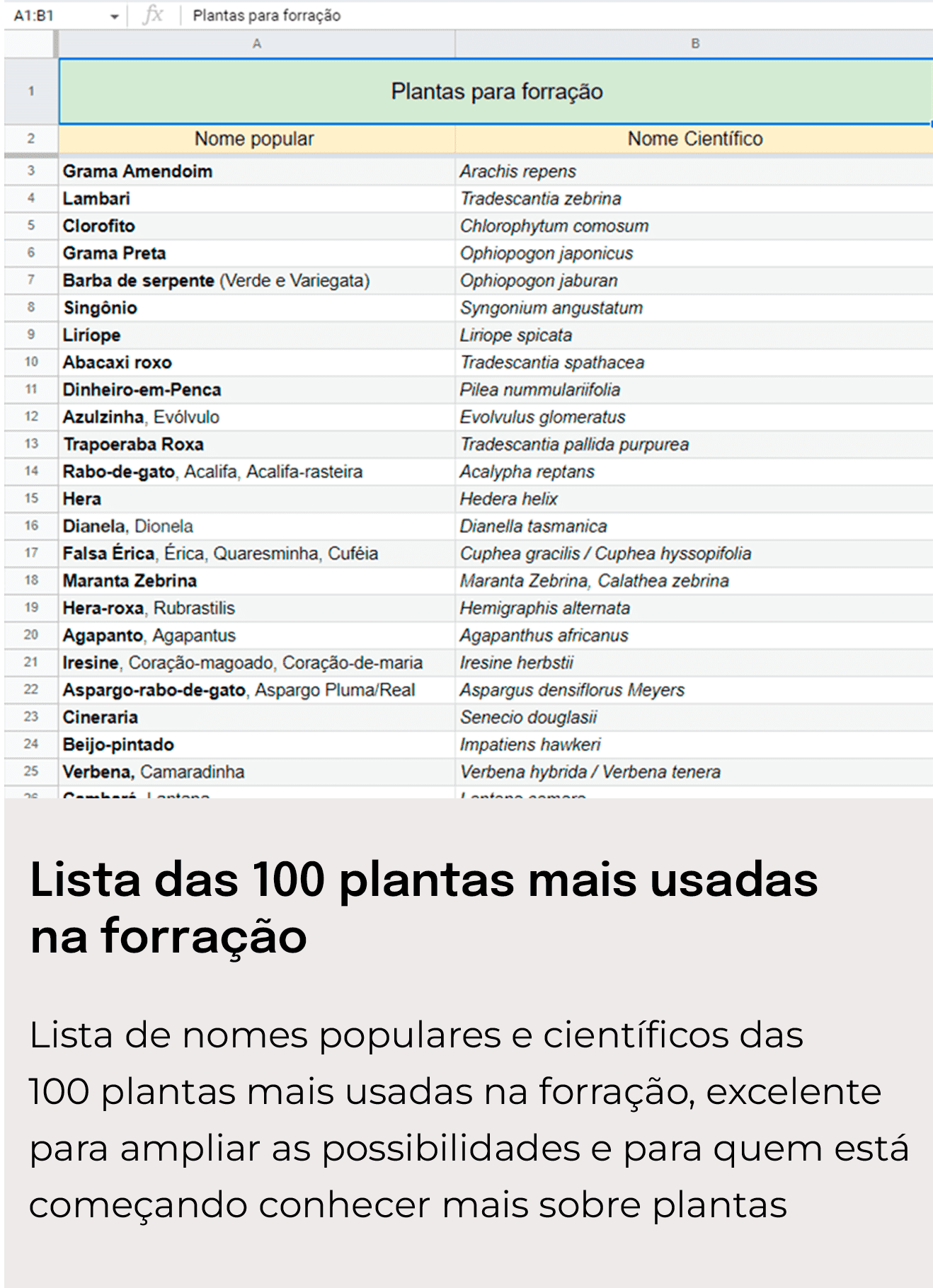 Prancheta 1 copiar 7